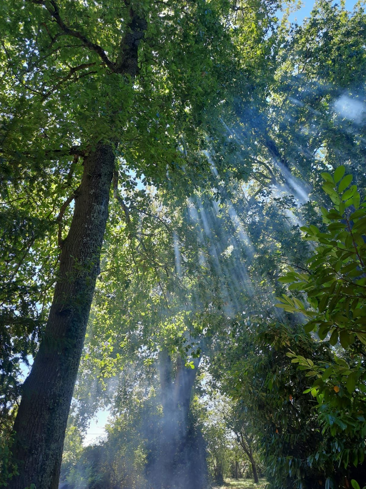 Périmètre sécurisé autour d’une grande propriété