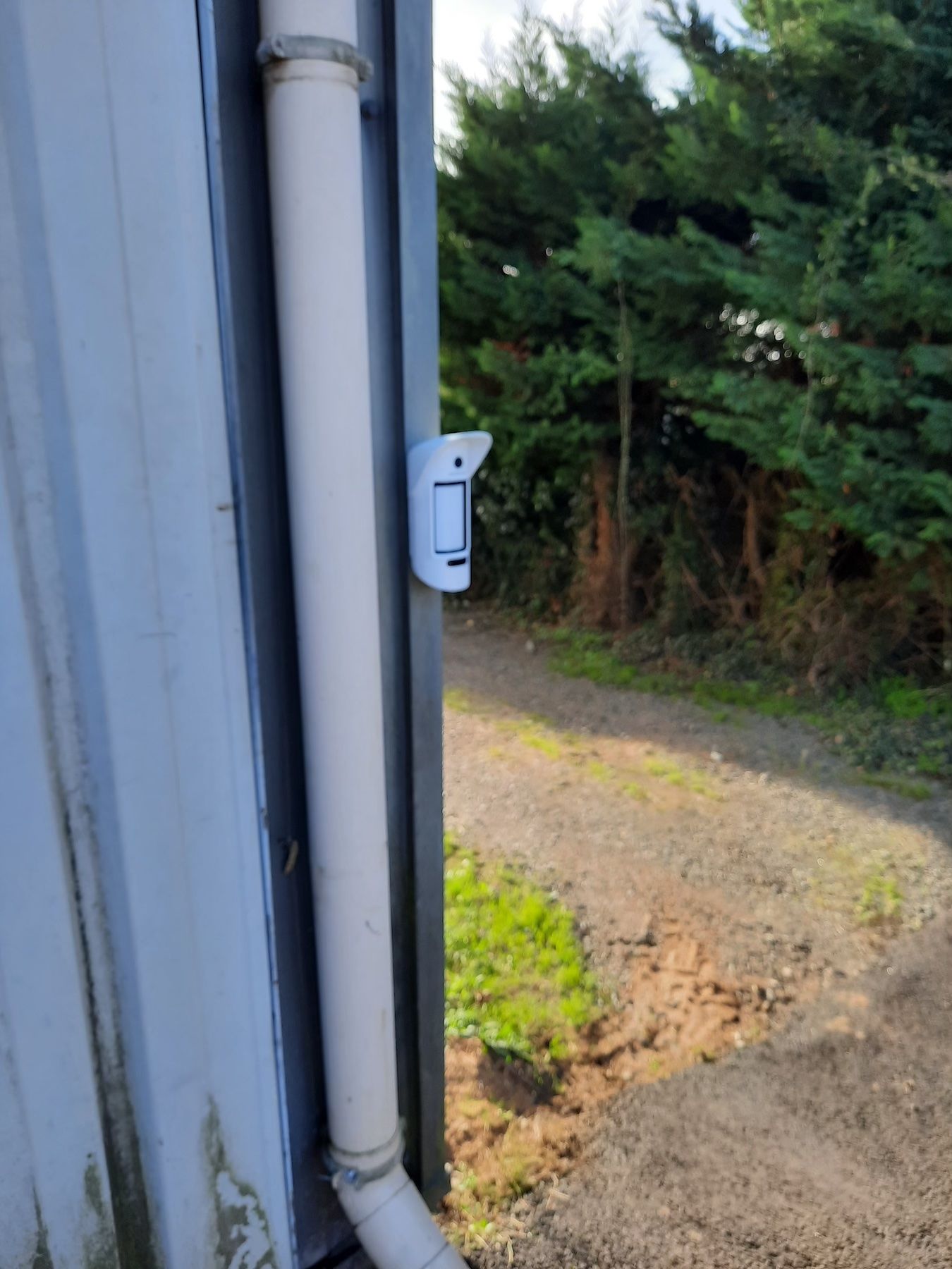Capteur de porte blanc fixé sur un mur extérieur bleu, à côté d'un chemin de gravier et de buissons verts.