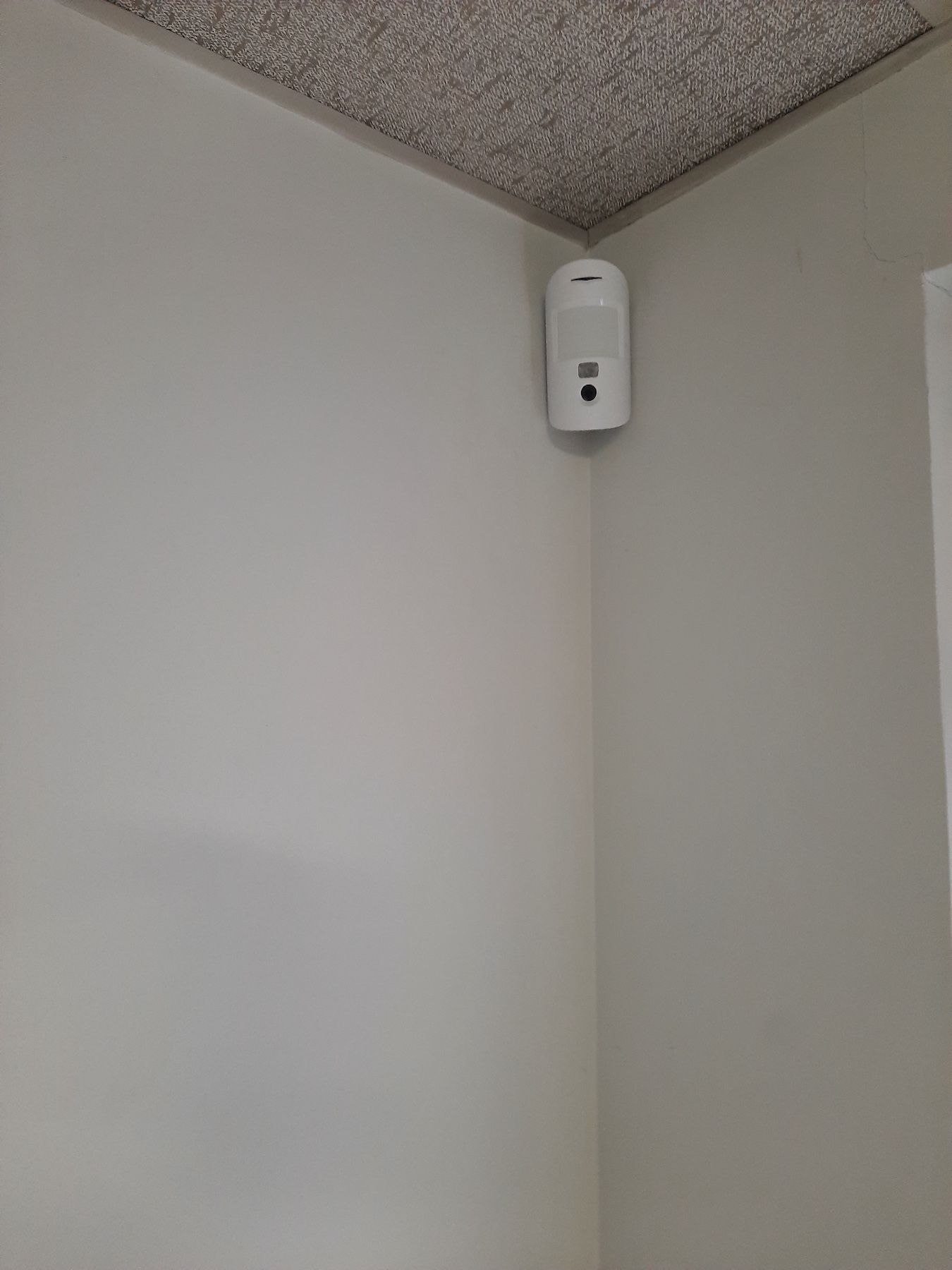 Coin de mur blanc avec un petit capteur fixé près du plafond.