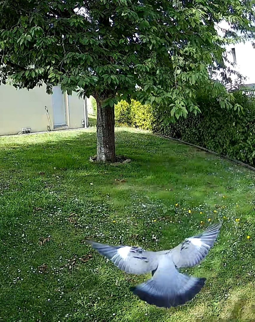 Site isolé avec vidéosurveillance autonome