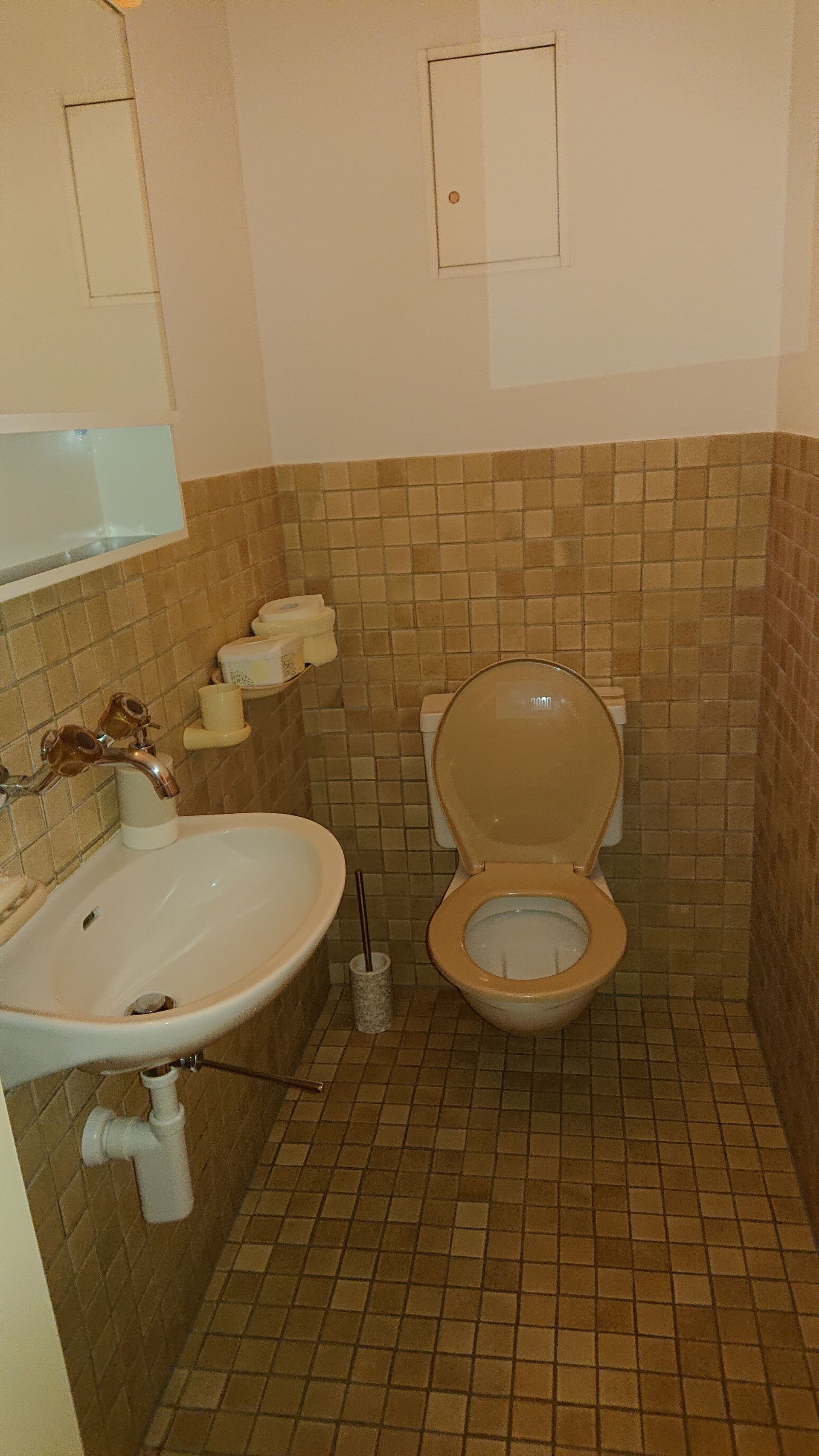 : Linkes Zürichseeufer Richterswil-Kilchberg, Schönenberg, Hirzel, Samstagern, Langau a.A. Adliswil, für Servicearbeiten