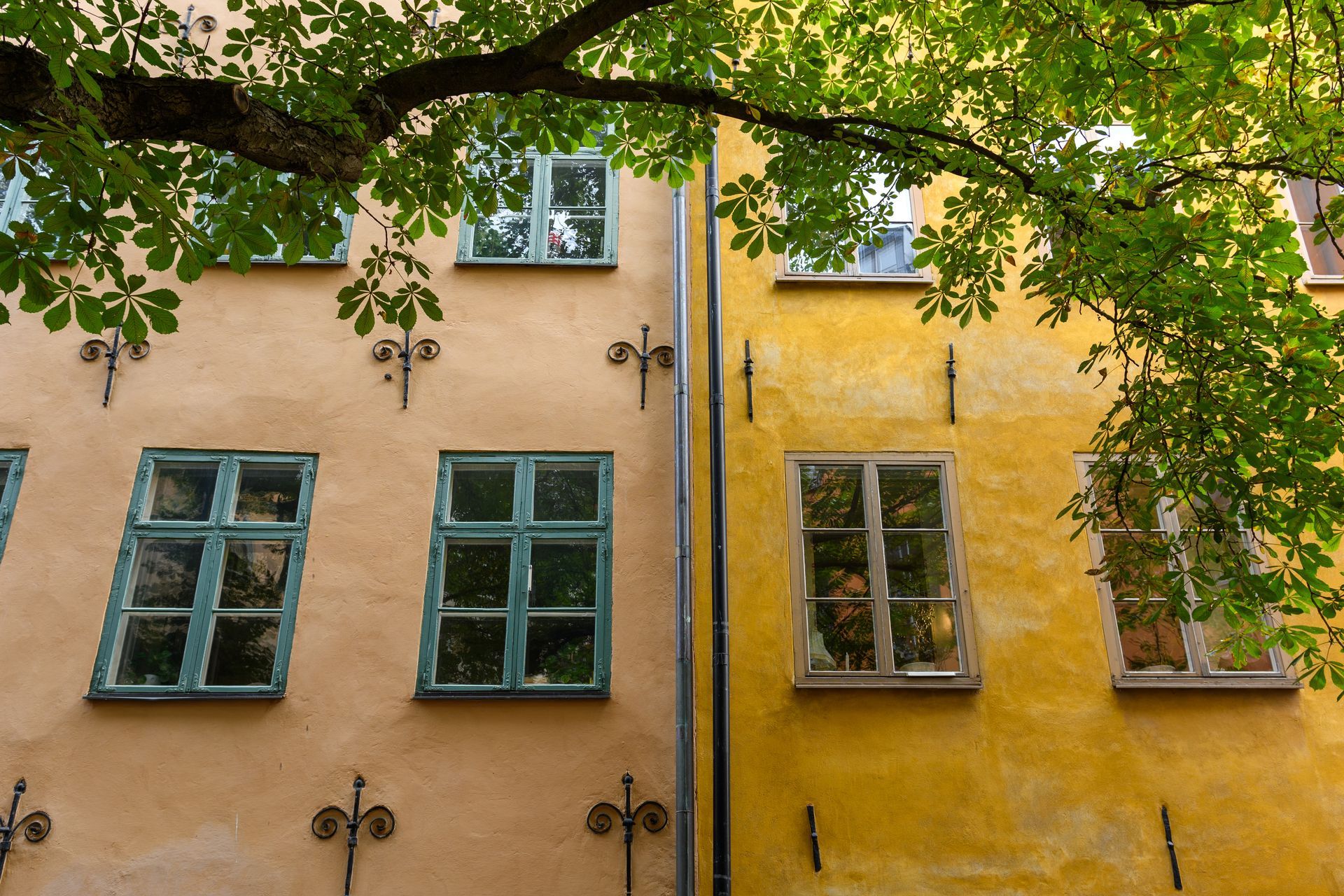 Ein gelbes Gebäude mit einem Baum davor