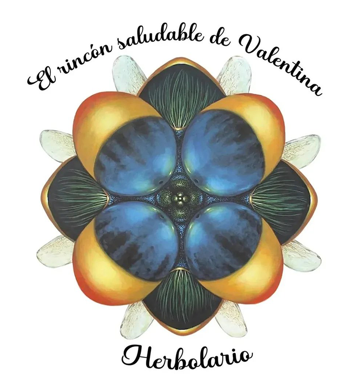 EL RINCÓN SALUDABLE DE VALENTINA