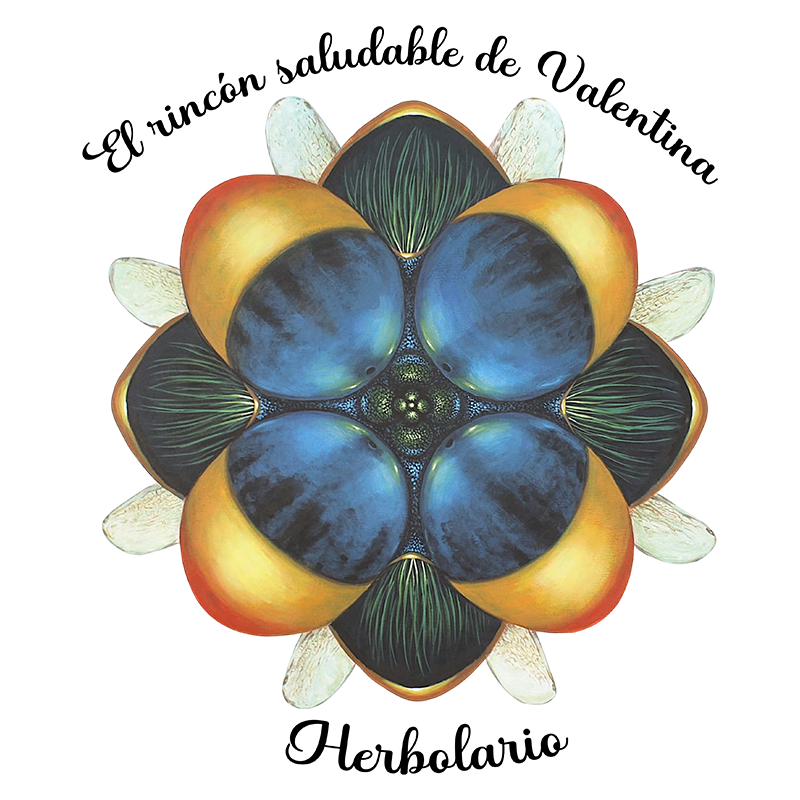 EL RINCÓN SALUDABLE DE VALENTINA