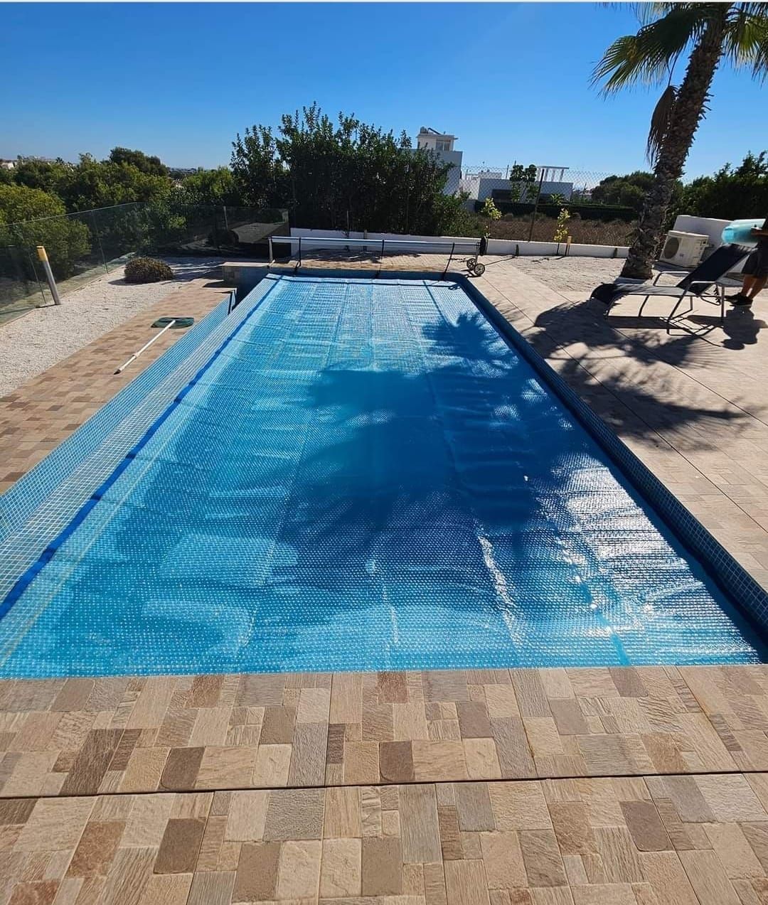 Una gran piscina con una palmera al fondo.