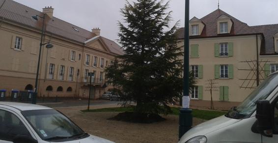 Collaboration avec des architectes paysagistes