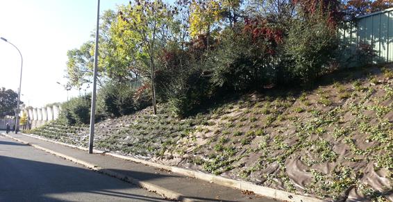 Verde Paysage à Bailly-Romainvilliers
