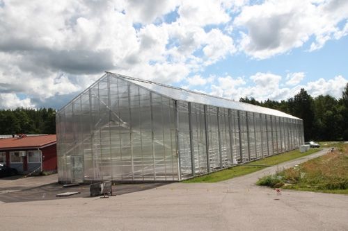 kasvihuonerakennus