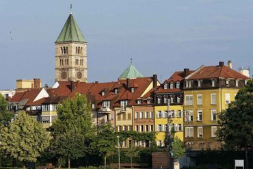 Die Sonne scheint durch die Bäume in einen Nadelwald