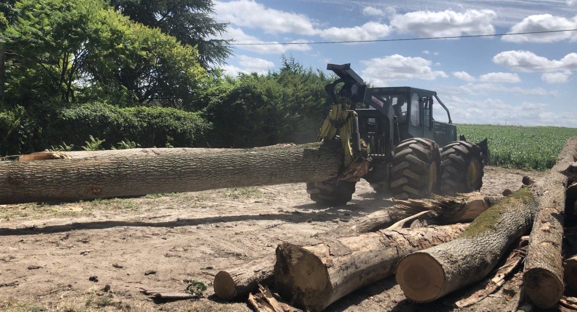 Bois prêt à être acheminé