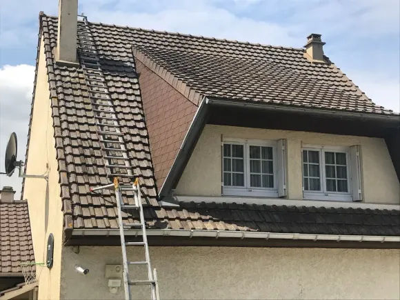 Échelle sur une toiture avec fenêtres