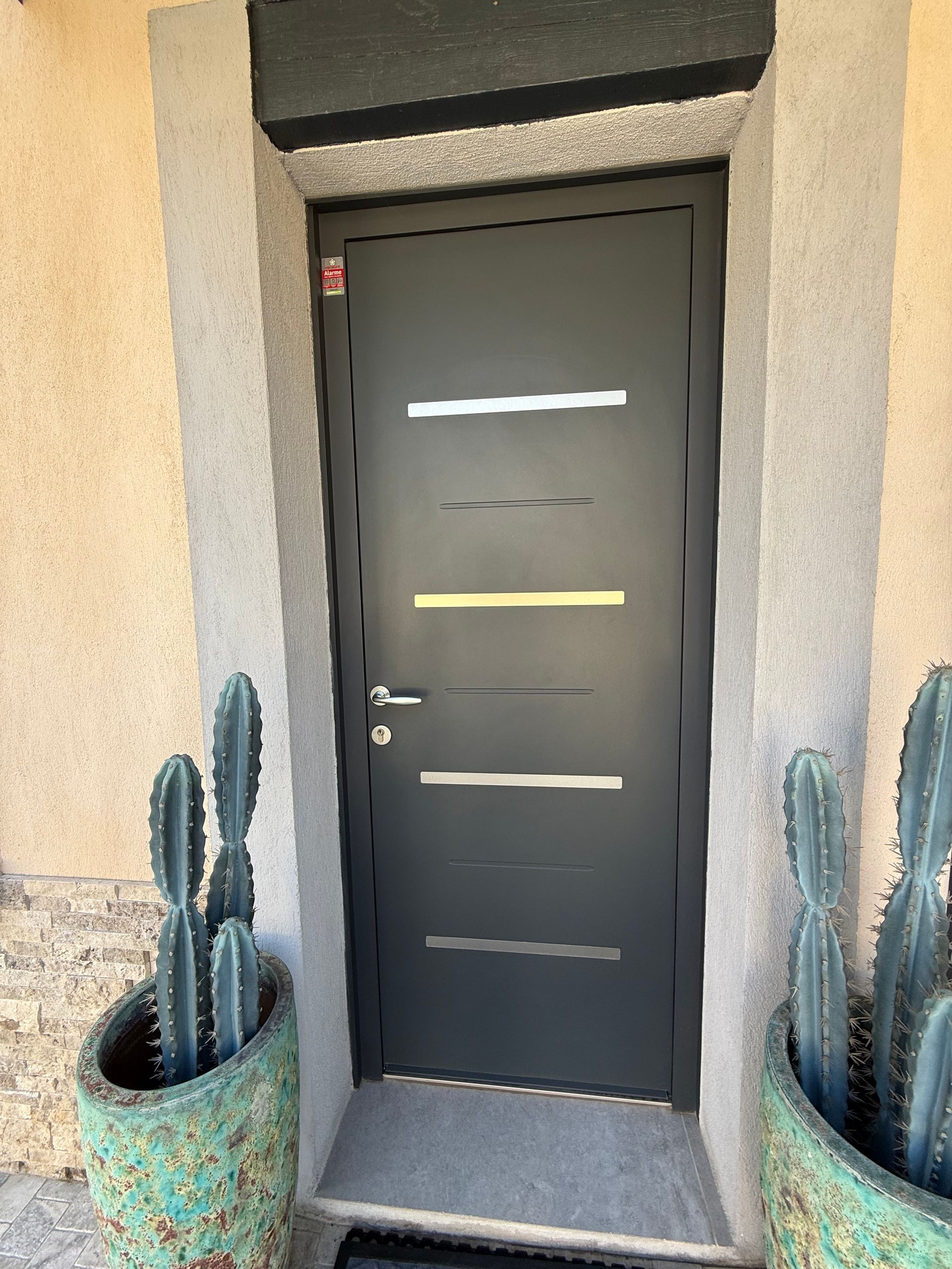 Porte d'entrée gris foncé à croisillons horizontaux, flanquée de cactus en pots verts.
