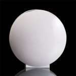 Kaiser - Scheibe - Porzellan - Palette - Bern