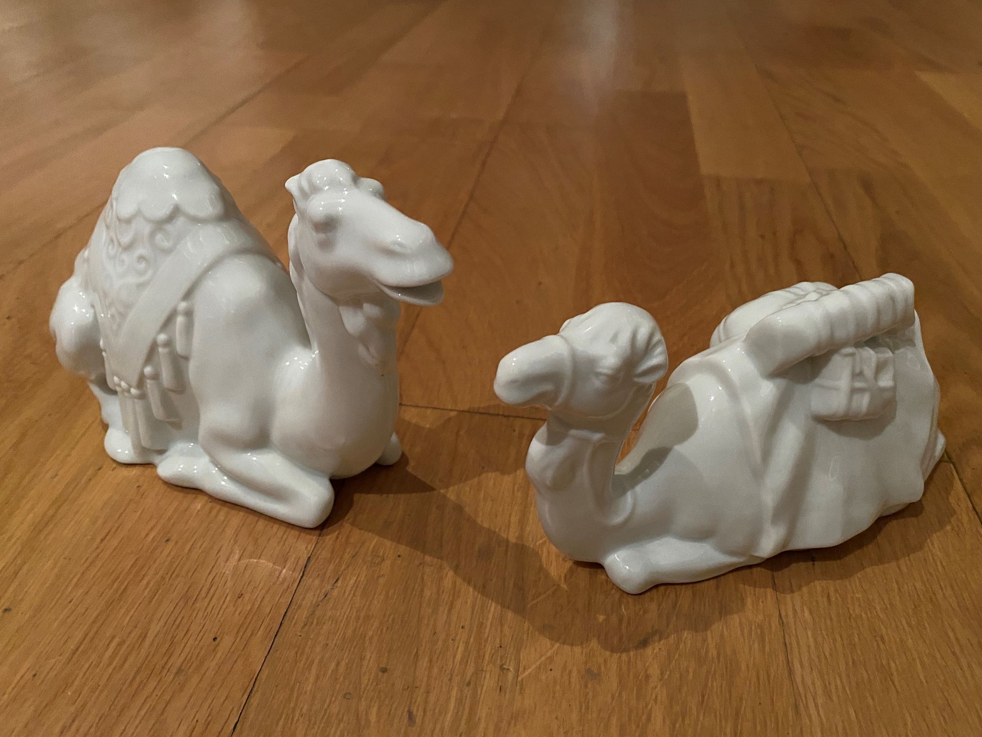 Kamele von Lindner und Reichenbach - Palette Bern