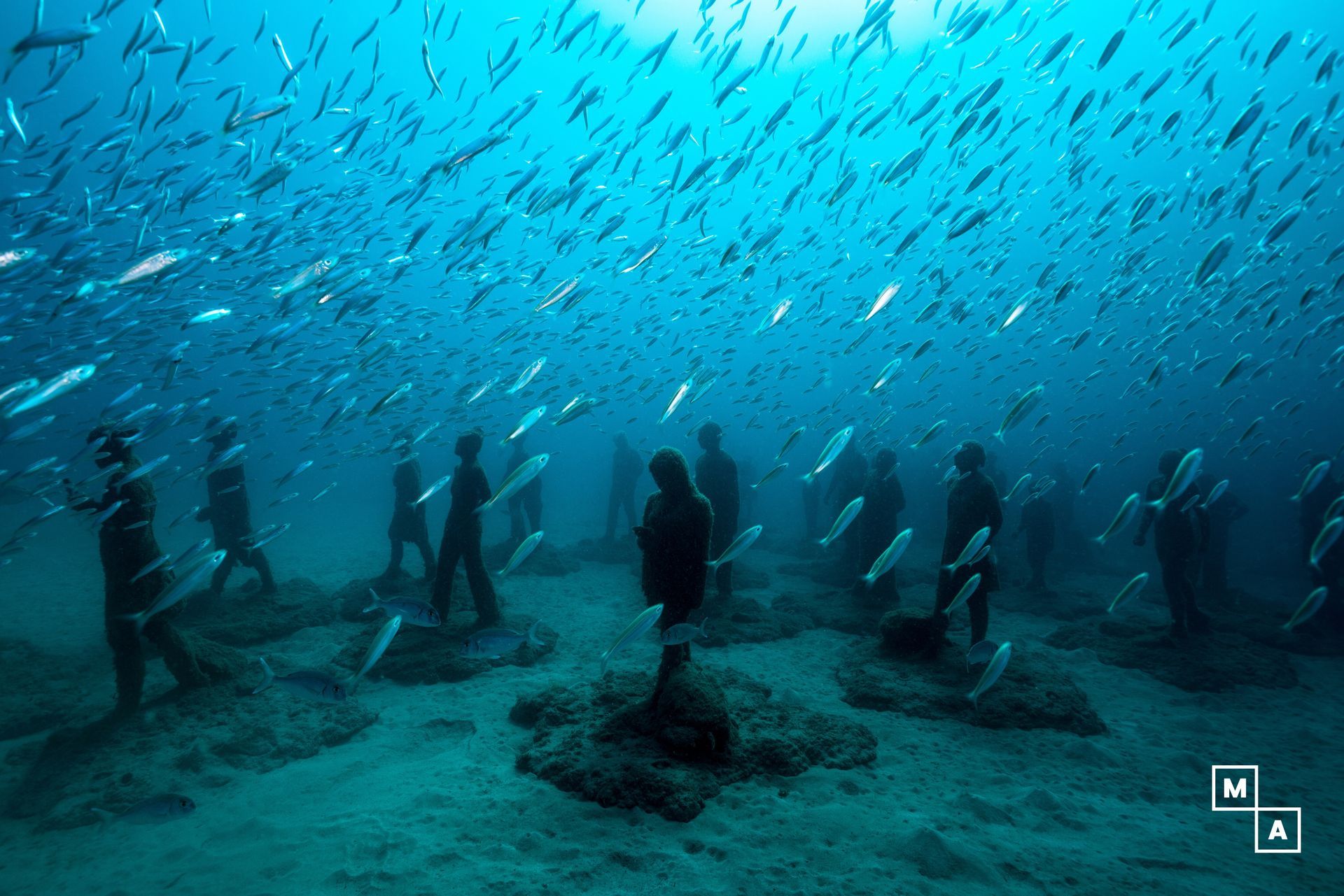 Un grupo de personas está nadando en el océano rodeado de peces.