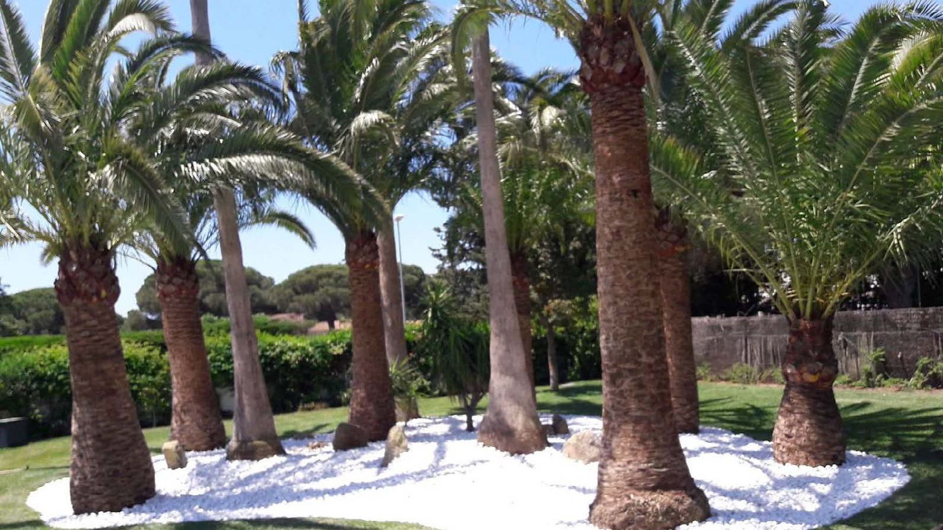 Jardines Salvador, jardinería y paisajismo en Chiclana de la Frontera