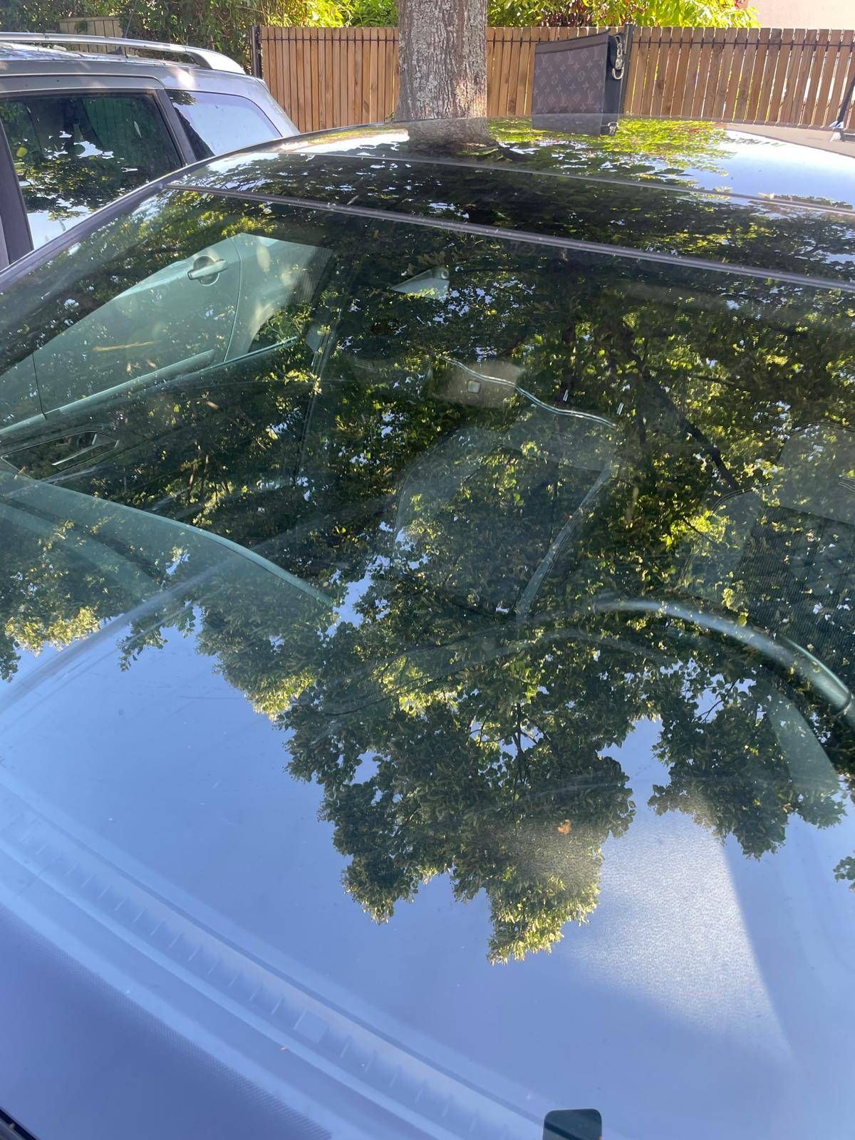 Toit ouvrant et pare-brise d’une voiture garée reflétant des arbres et le ciel bleu