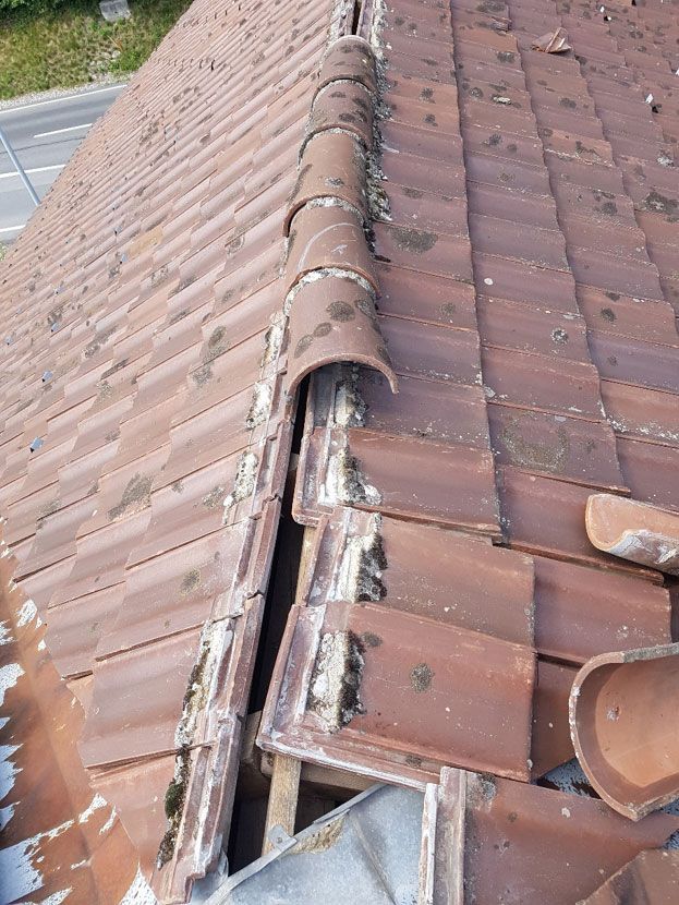 Dégâts du au vent à Savigny