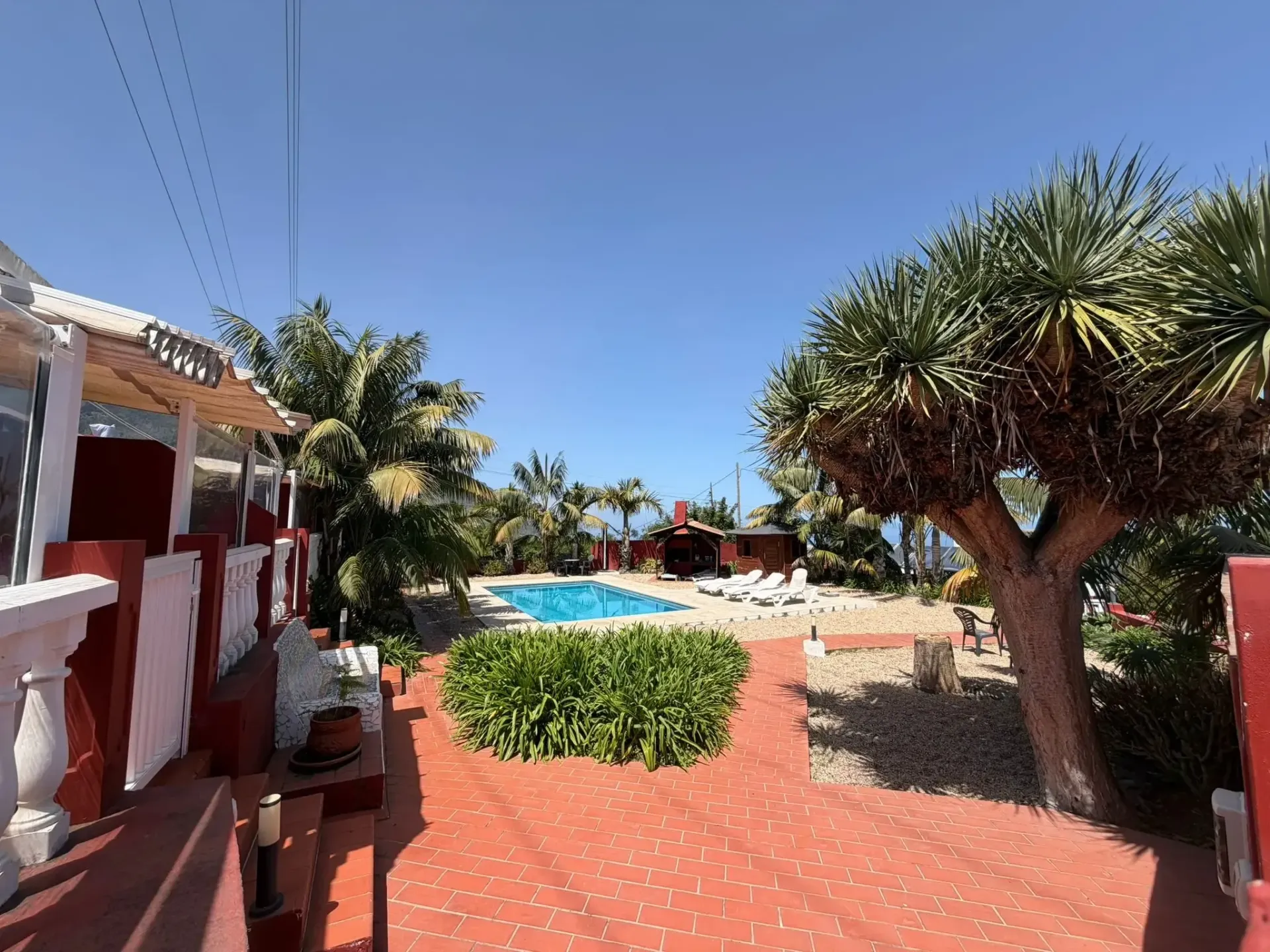 Un soleado patio con baldosas rojas conduce a una piscina al aire libre, rodeada de plantas tropicales y un gran drago.
