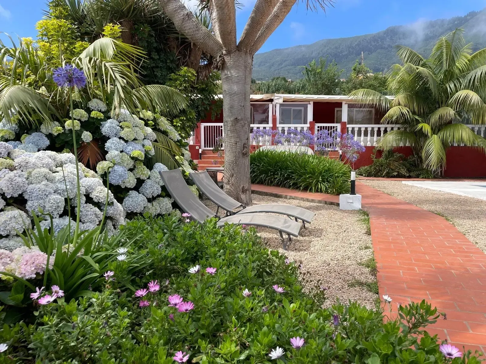 Dos tumbonas se encuentran en un patio de grava bajo un árbol, rodeadas de exuberantes flores, cerca de un edificio rojo y un sendero de ladrillos.
