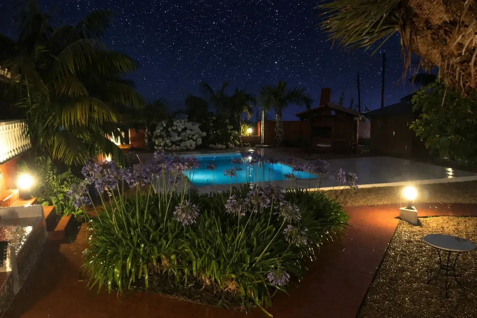 Una piscina en el patio trasero iluminada con luz azul, rodeada de exuberantes plantas bajo un cielo nocturno estrellado e iluminada por pequeñas luces de jardín.