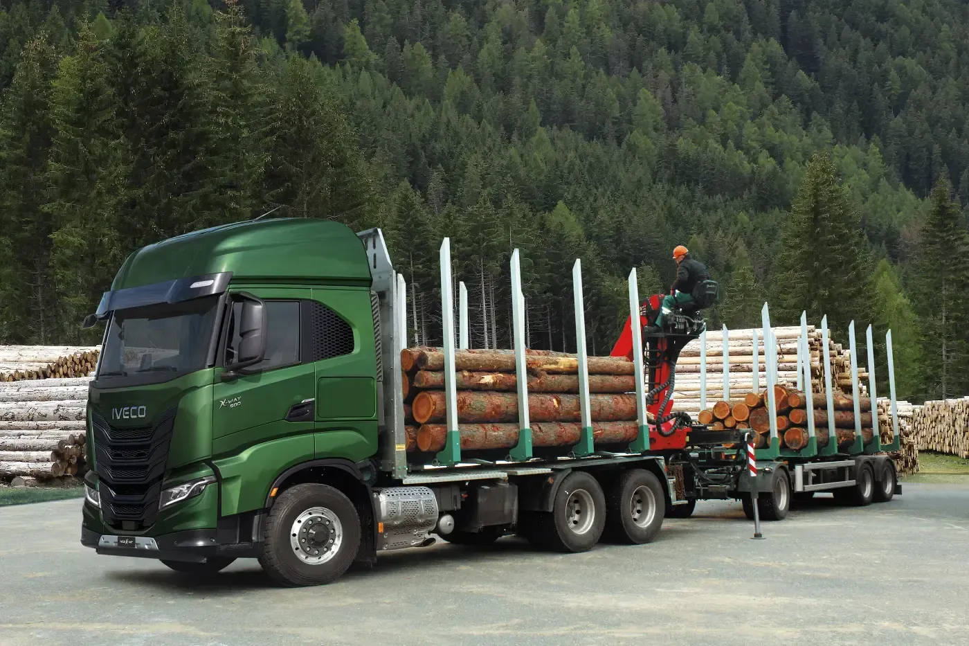 Ein grüner Holztransporter transportiert gestapelte Baumstämme auf einem Anhänger in einem Waldgebiet.