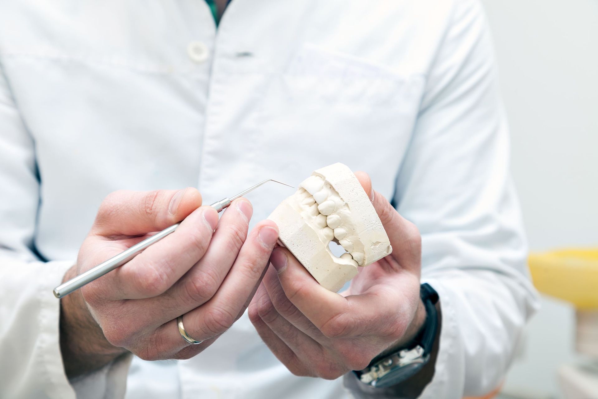 Un dentista sostiene un modelo de dientes en sus manos.