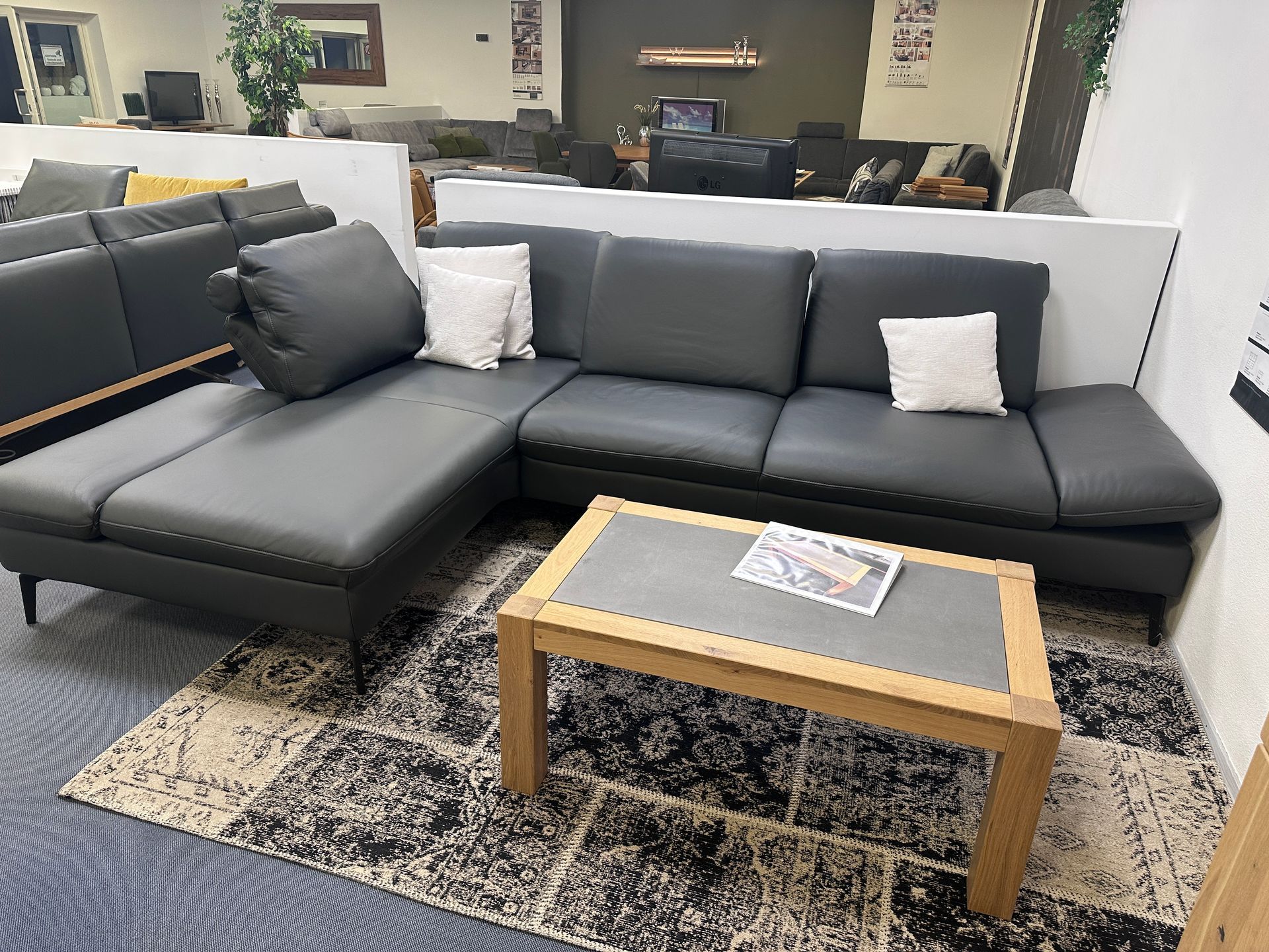 Modell Ohio graue Couch Lederoptik