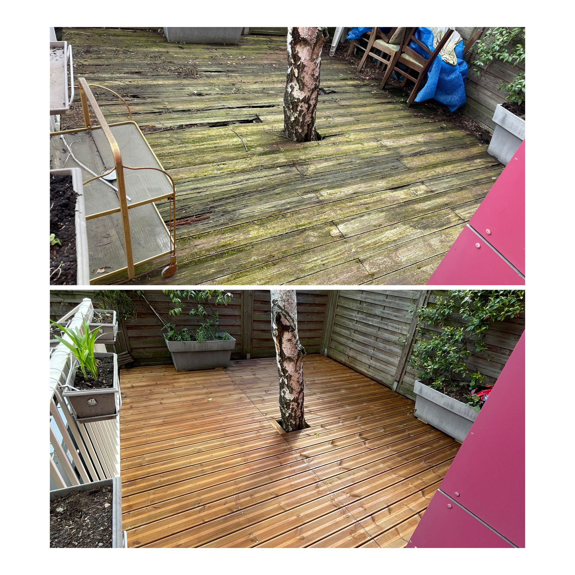 Rénovation d'une terrasse en bois avec un arbre au centre