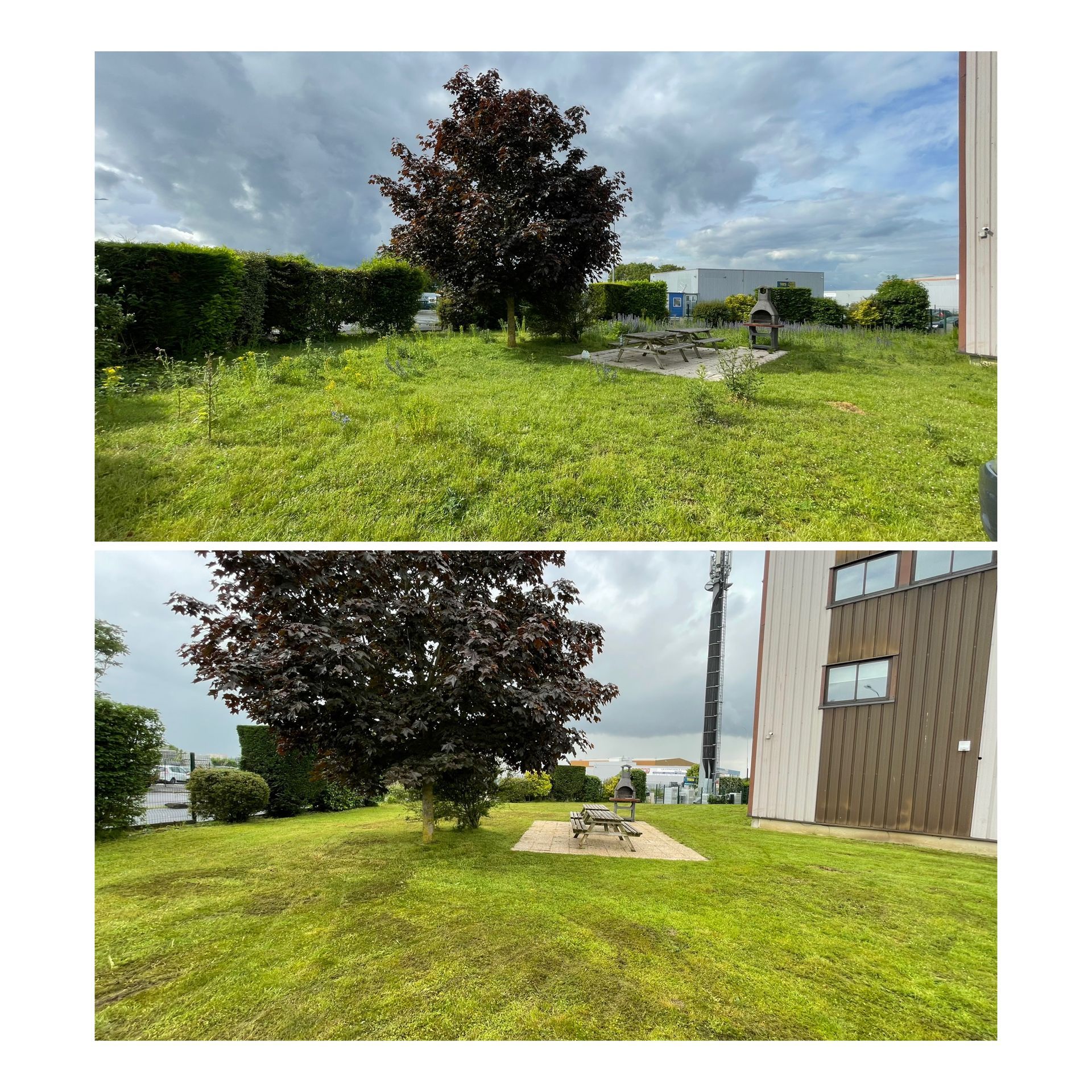 Tonte d'un grand parc