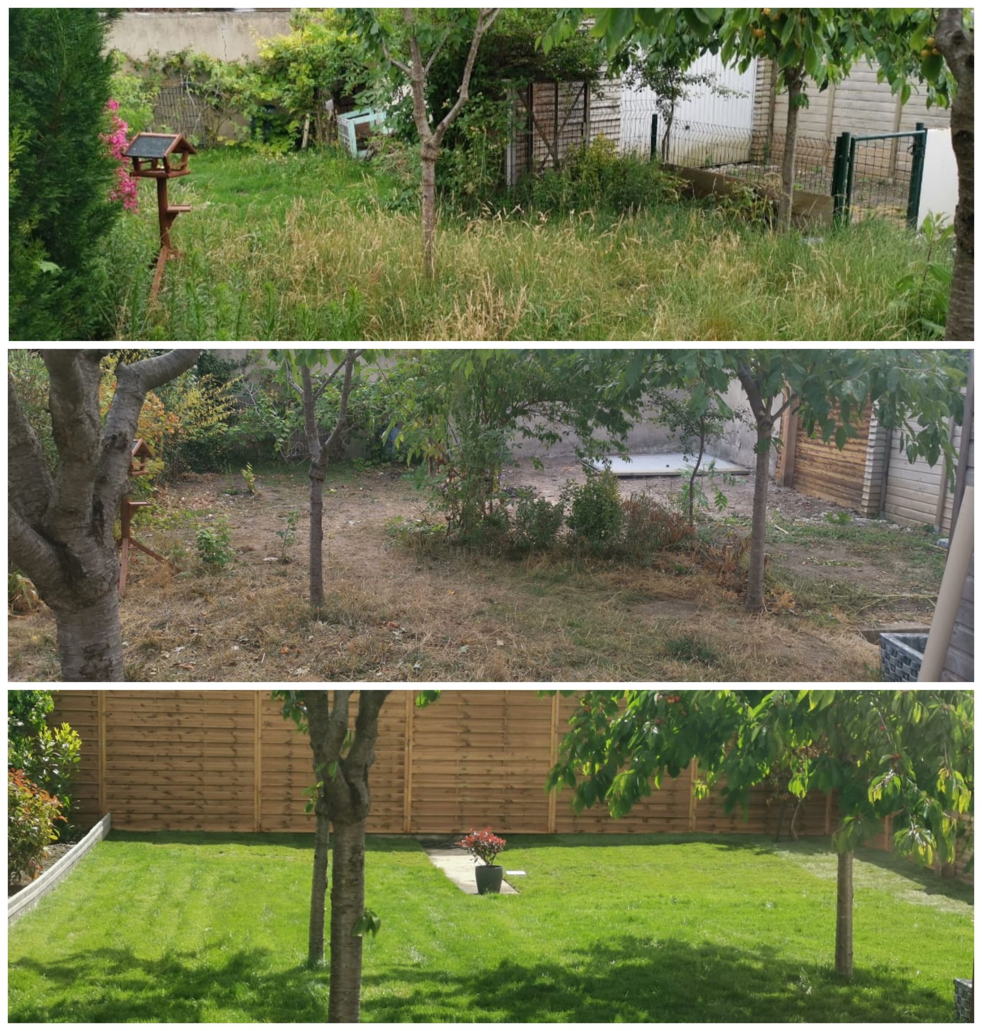 3 photos, avant, pendant et après un débroussaillage de jardin et pose d'un nouveau gazon