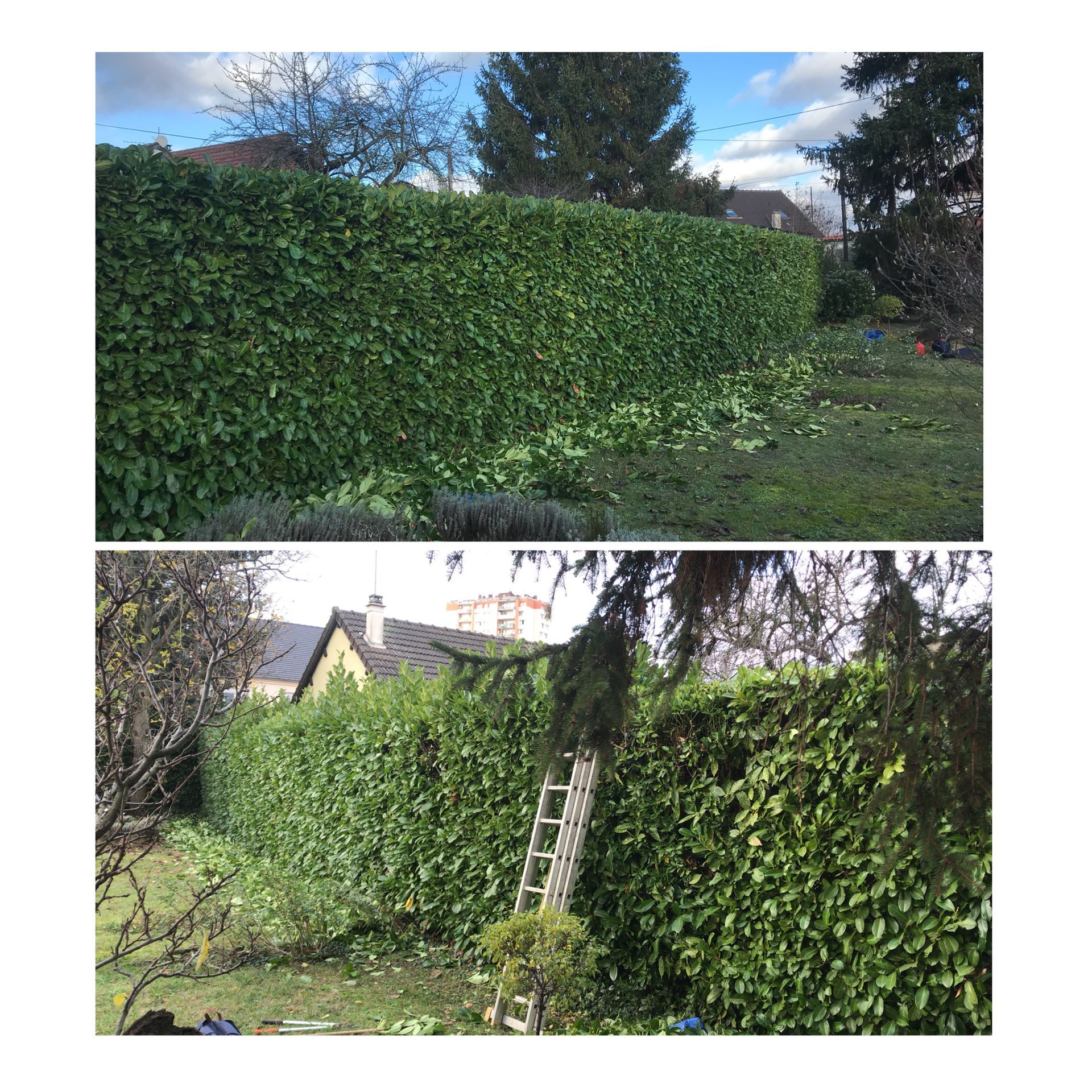 2 photos de taille d'une haie dans un jardin