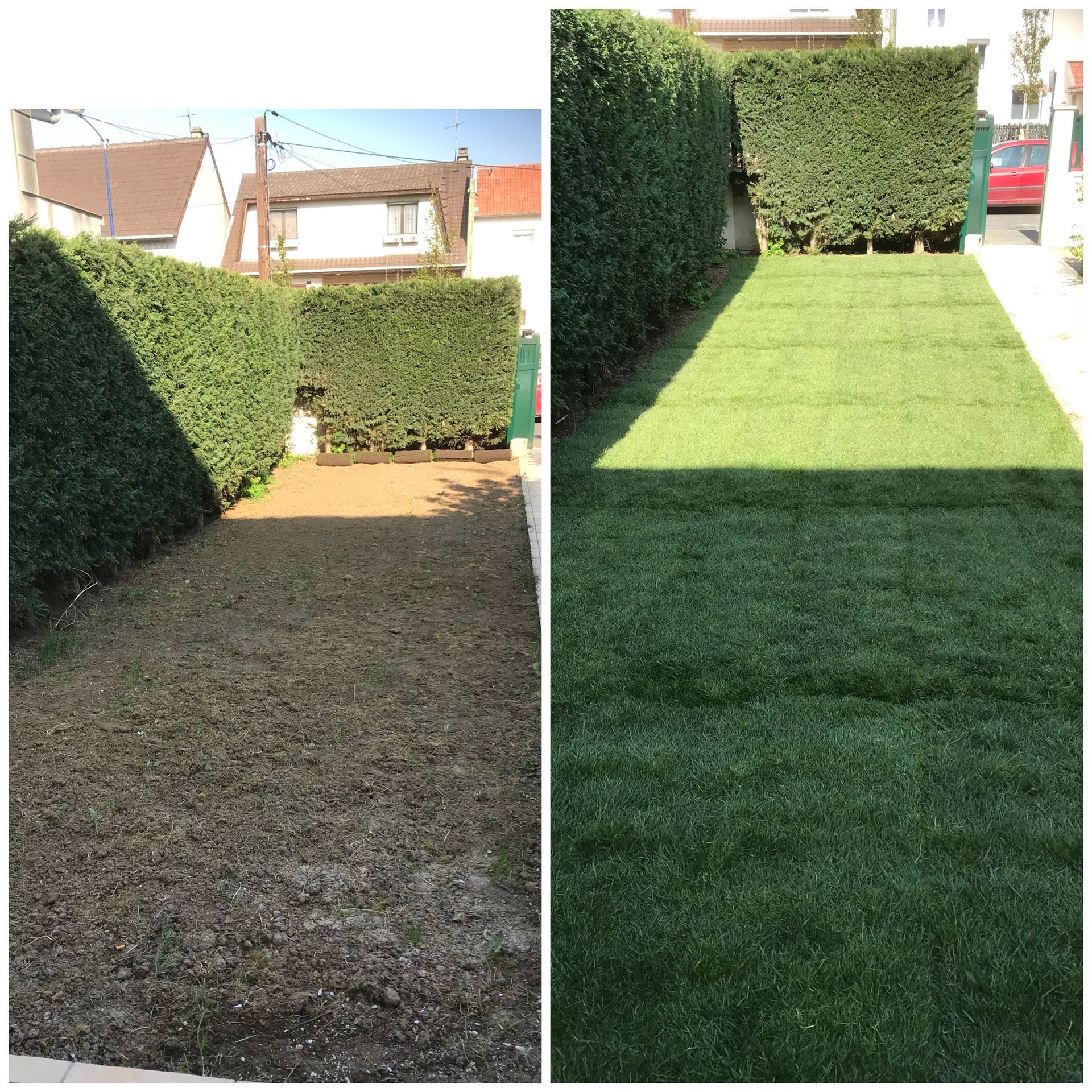 Pose d'un nouveau gazon verdoyant dans un jardin