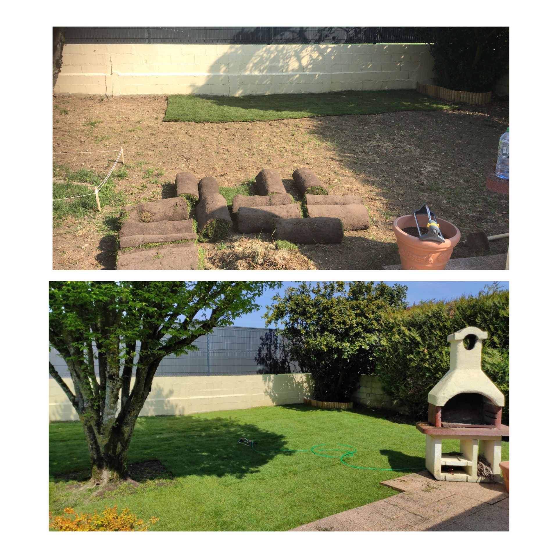Pose d'une pelouse dans un jardin avec un four extérieur