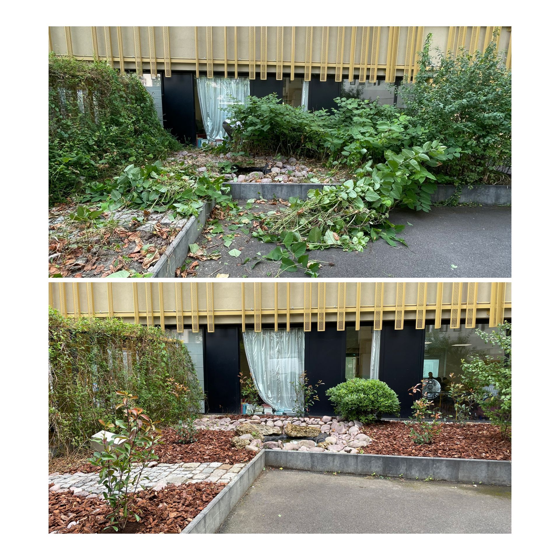 Débroussaillage d'un aménagement près d'un bâtiment