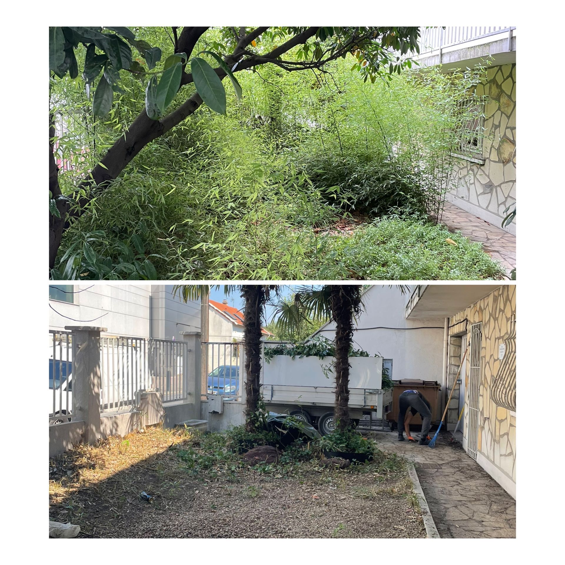 Débroussaillage d'un terrain : arbres, herbes, arbustes