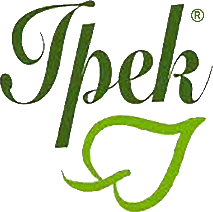 logotipo cabecera