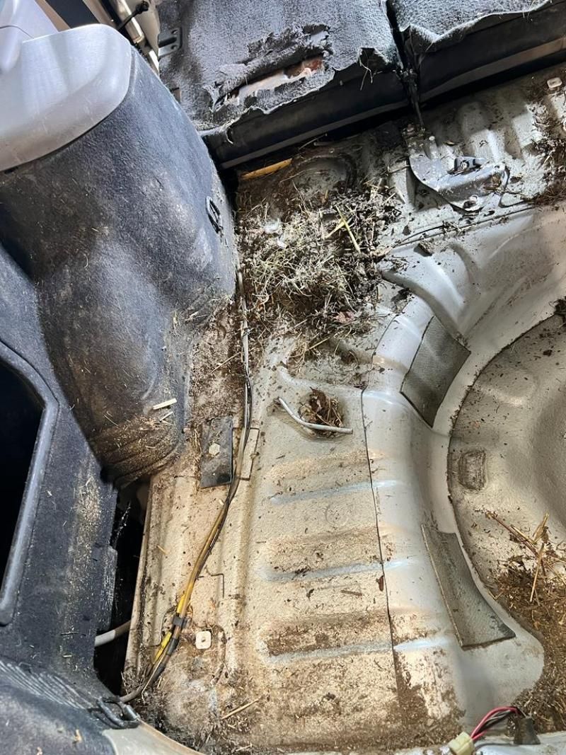 Fahrzeugaufbereitung bei STAR POLISH