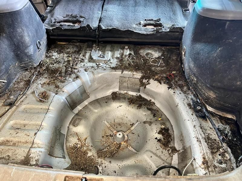 Fahrzeugaufbereitung bei STAR POLISH