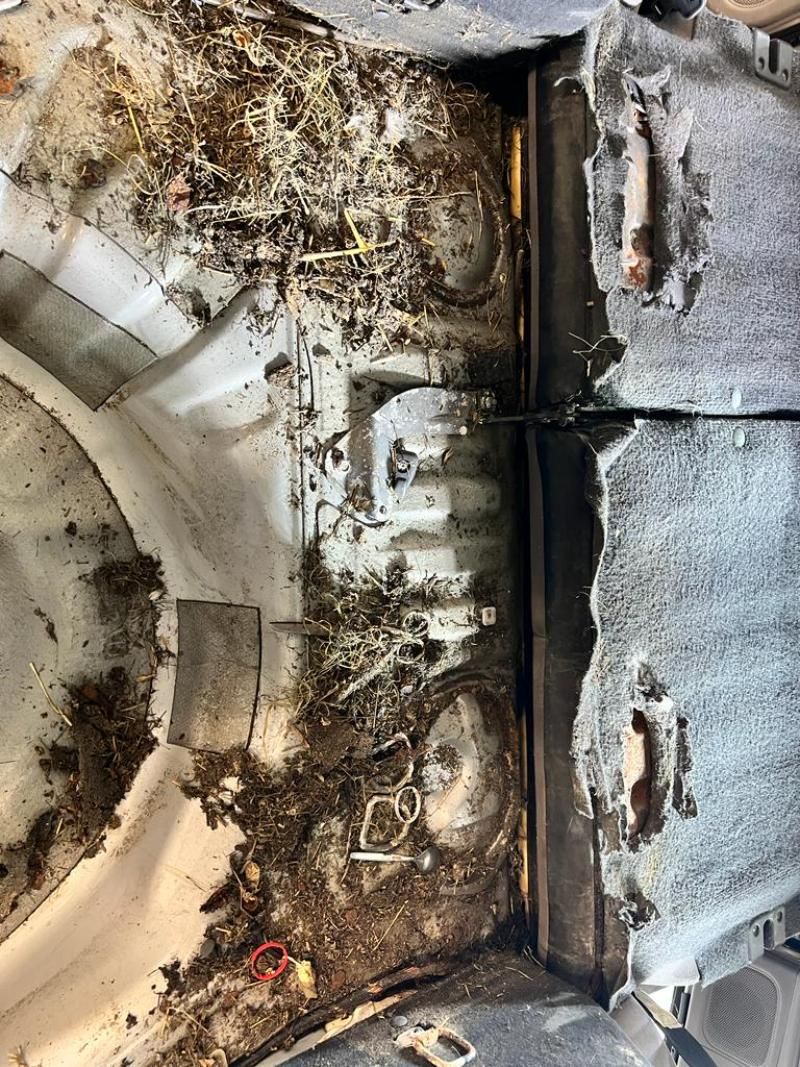 Fahrzeugaufbereitung bei STAR POLISH