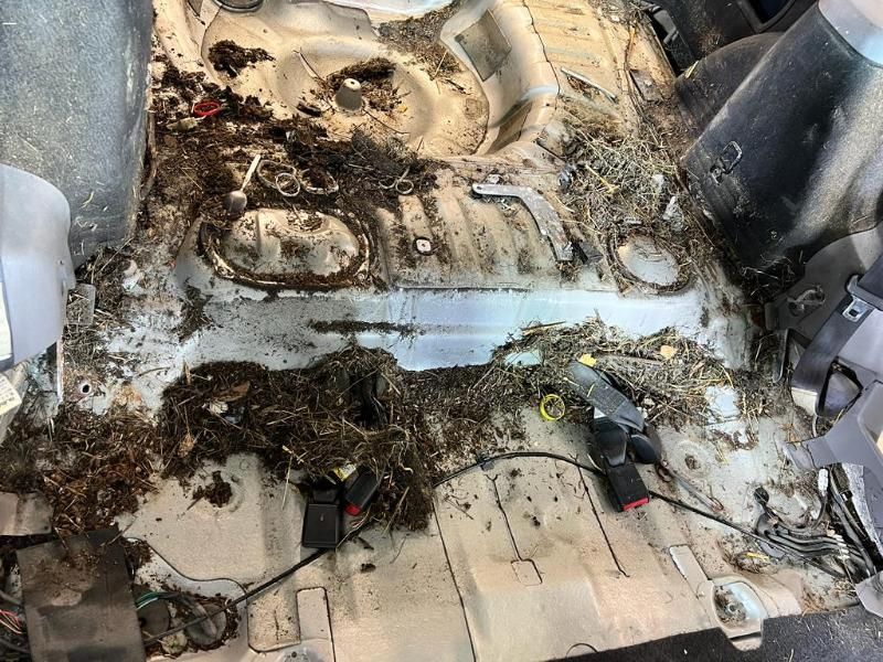 Fahrzeugaufbereitung bei STAR POLISH