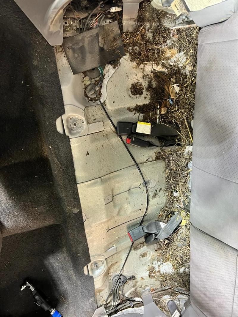 Fahrzeugaufbereitung bei STAR POLISH