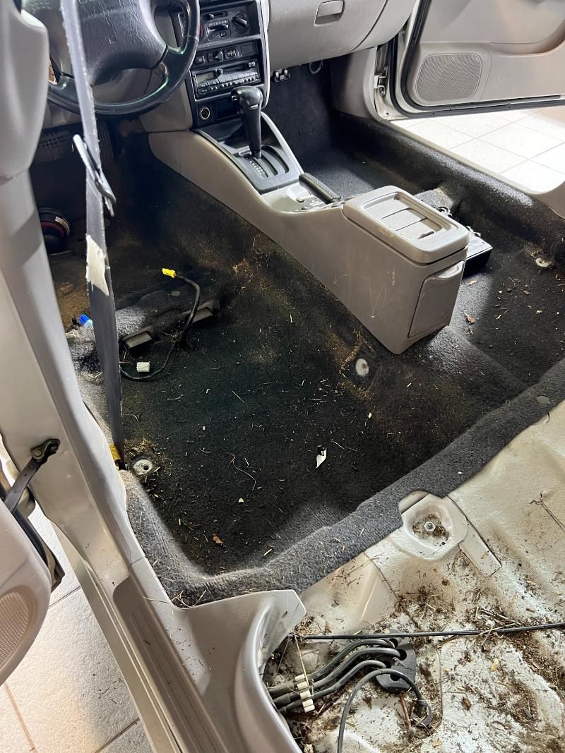 STAR POLISH Innenraumreinigung