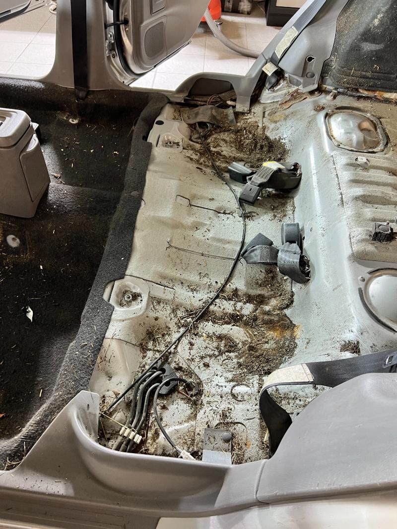 STAR POLISH Innenraumreinigung