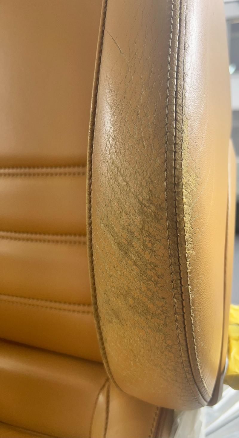 Fahrzeugaufbereitung bei STAR POLISH