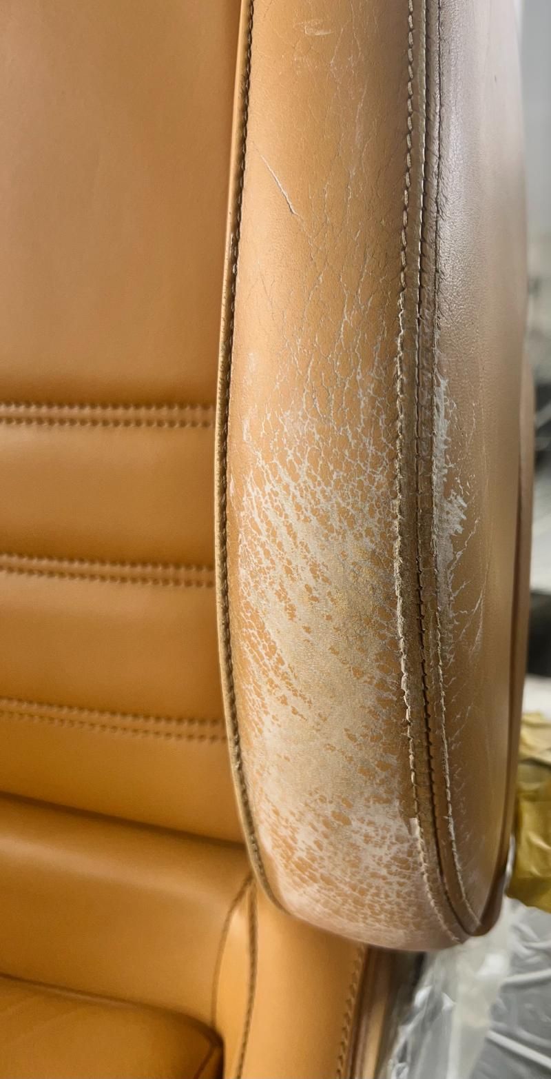 Fahrzeugaufbereitung bei STAR POLISH