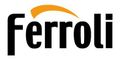 Logotipo de Ferroli: texto negro con arco naranja encima.