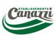 Logo Canazzi vert et gris
