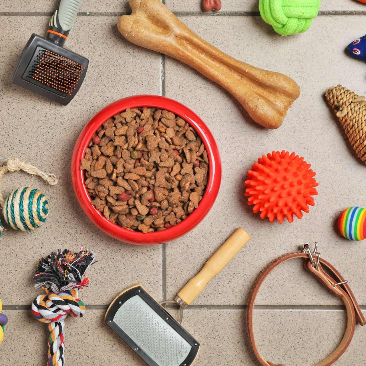 Croquettes et accessoires pour animaux