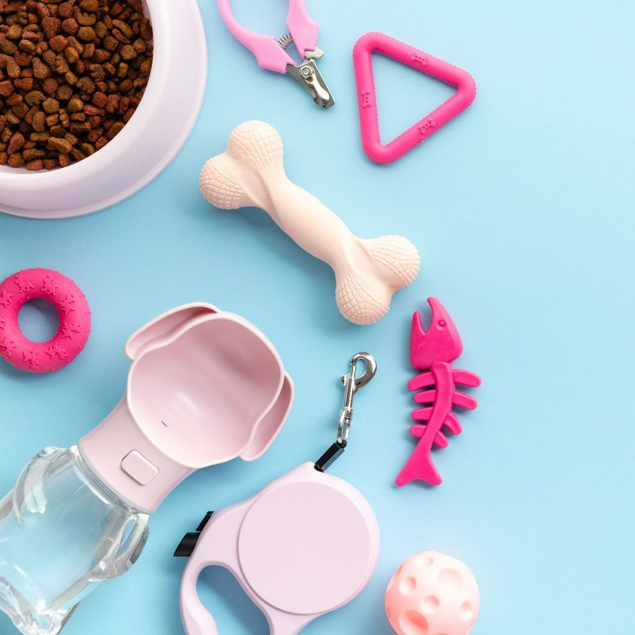 Jouets et accessoires pour chien